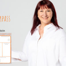 Vorstellung Analyse-Kompass aus dem 3-Phasen-Kompass-Modell