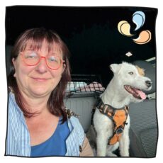 Beate und Kurti fahren Autofähre - Hundeurlaub 2025